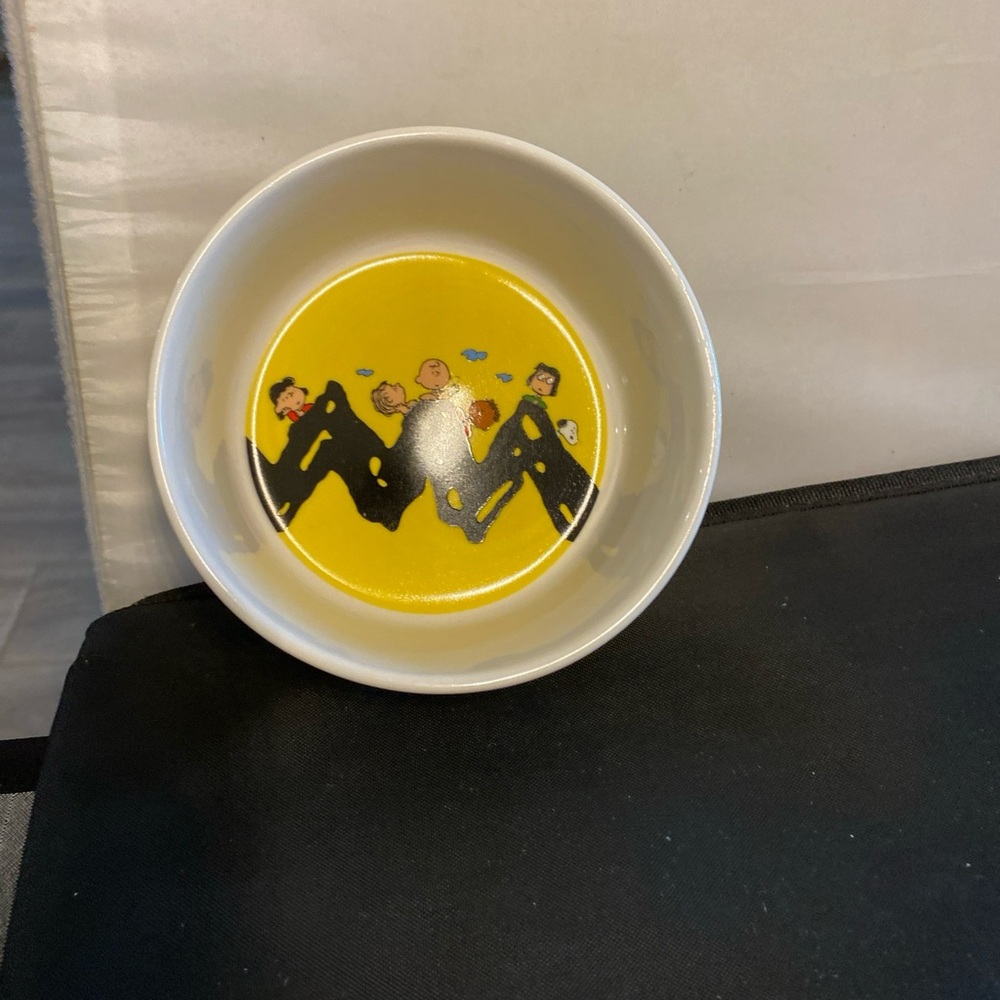 Snoopy peanuts dog dish